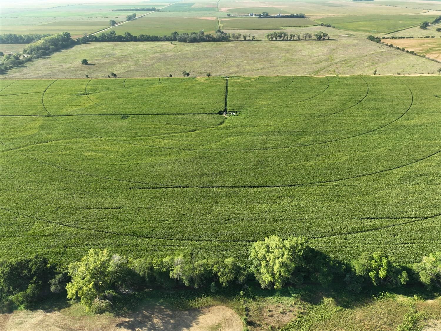 80 acres in Polk County, Nebraska
