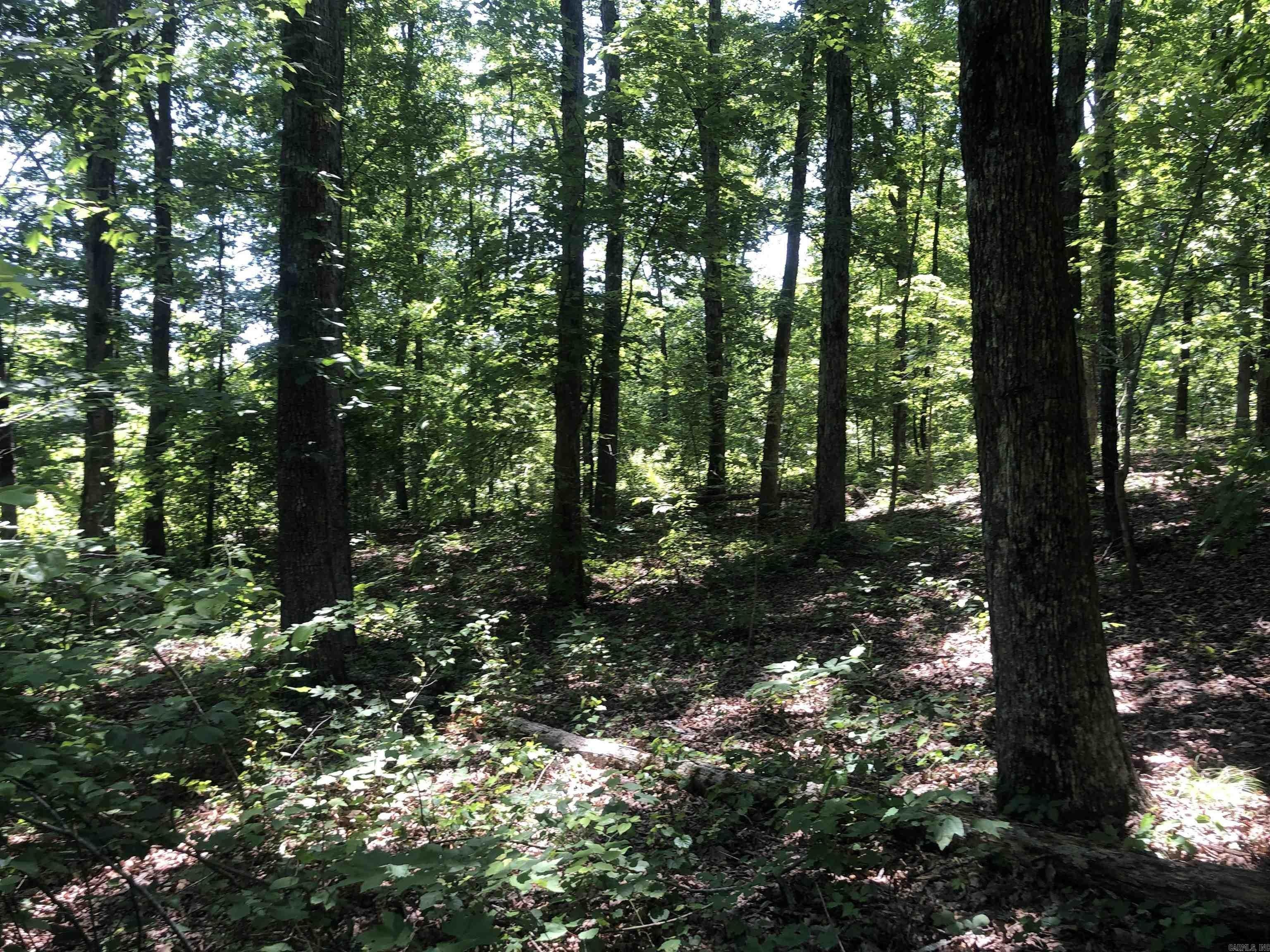 9 acres in Van Buren County, Arkansas