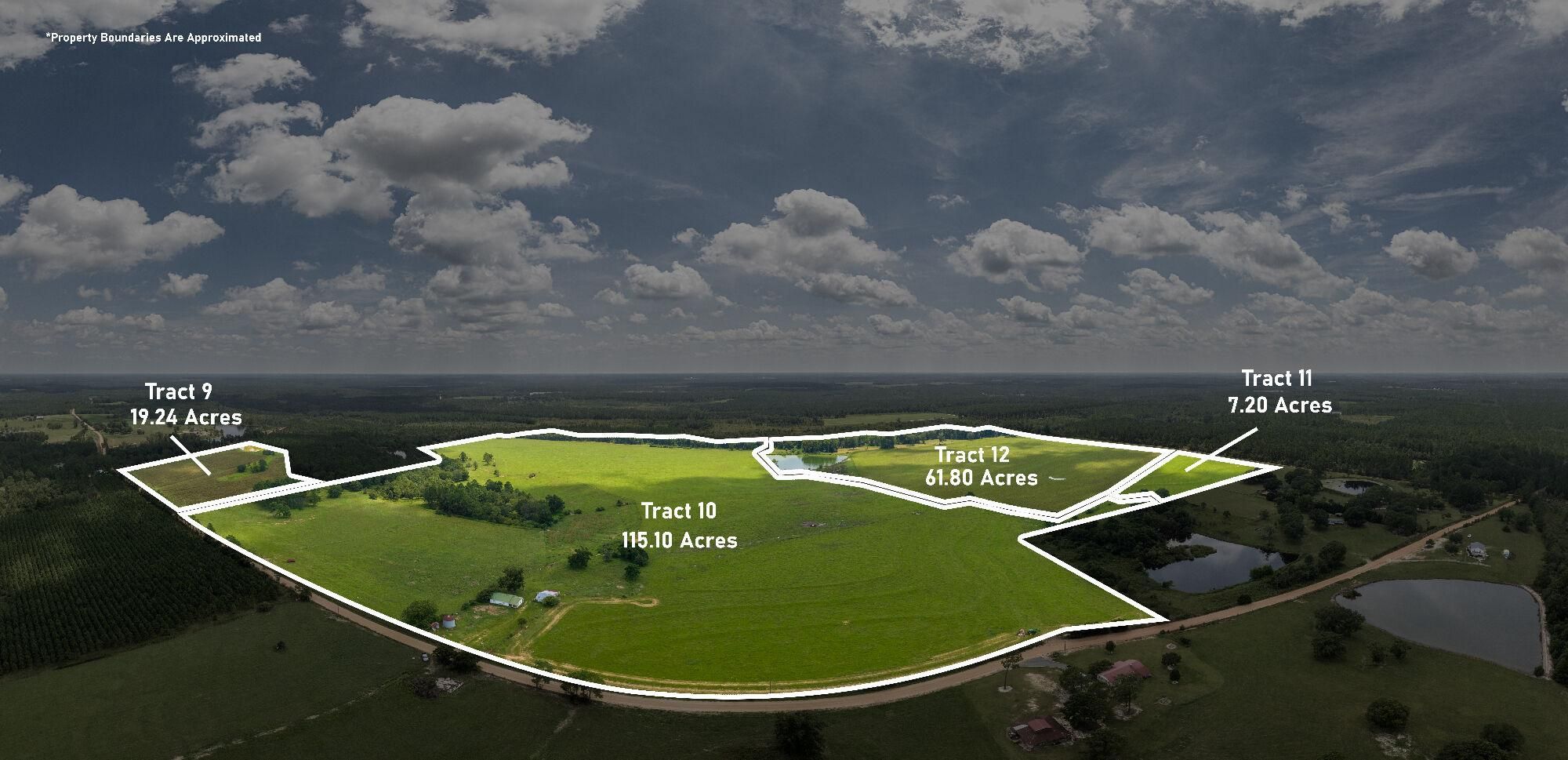 203 acres in Ben Hill County,