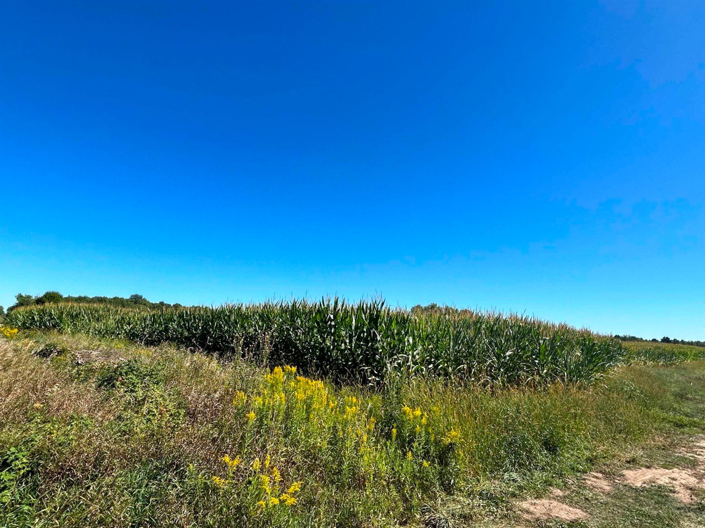 40 acres in Shawano County, Wisconsin