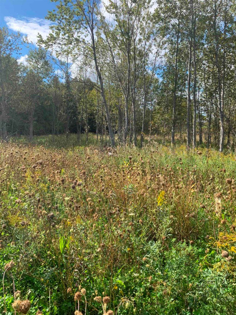 40 acres in Menominee County, Michigan