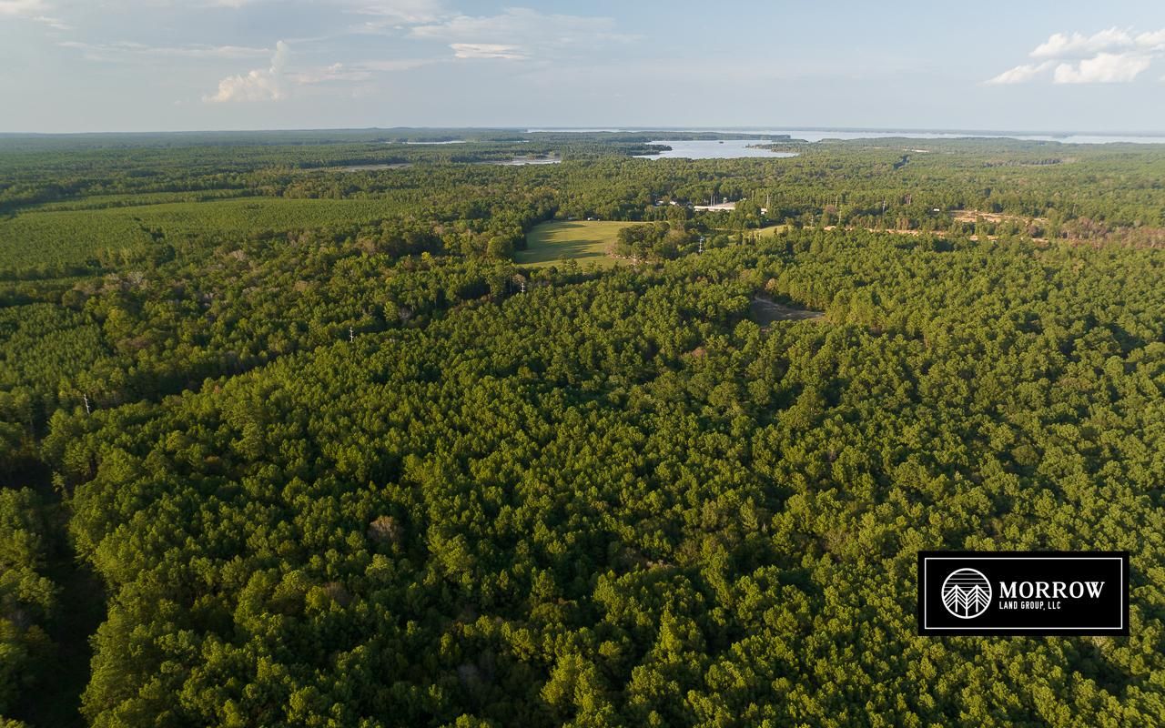 245 acres in Fairmount, TX, 75948