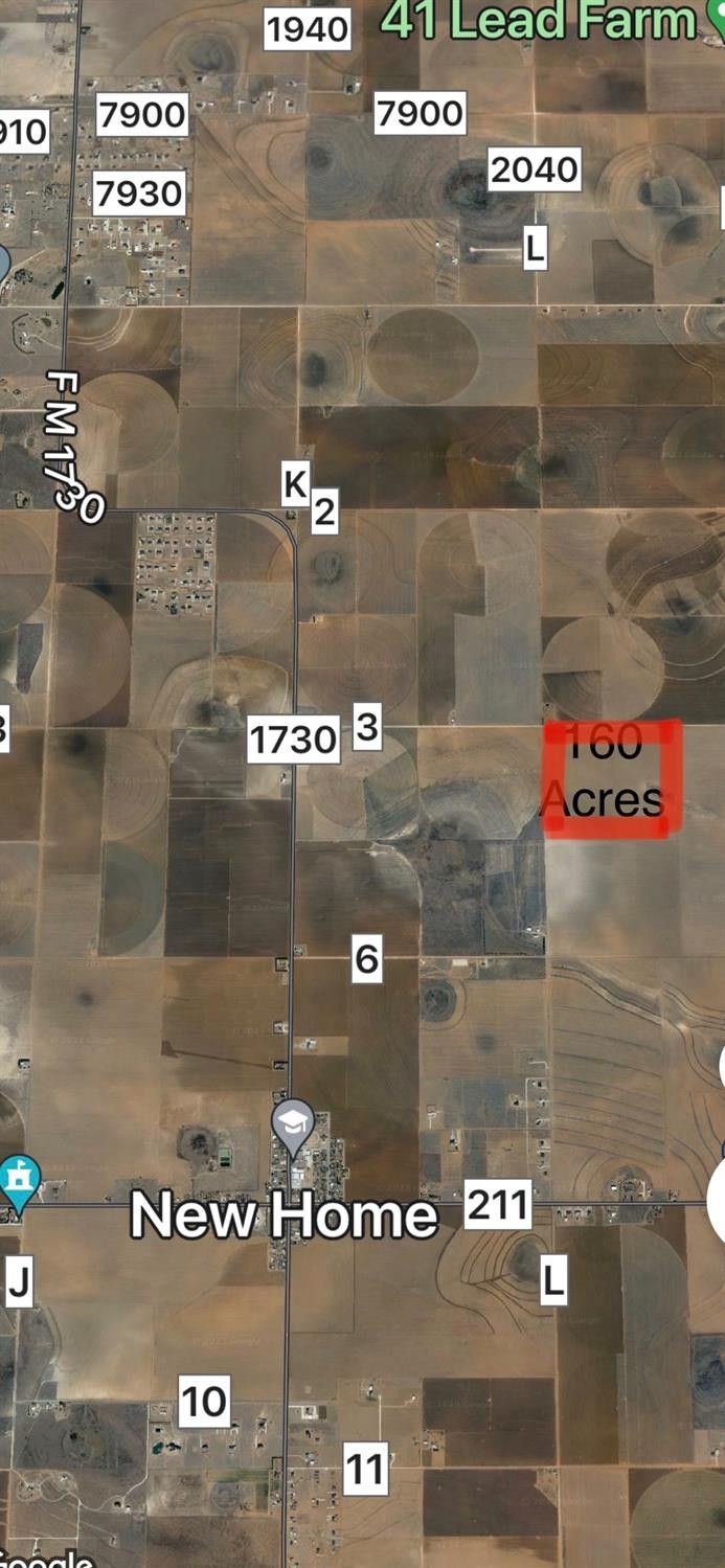 160 acres in Lynn County, Texas