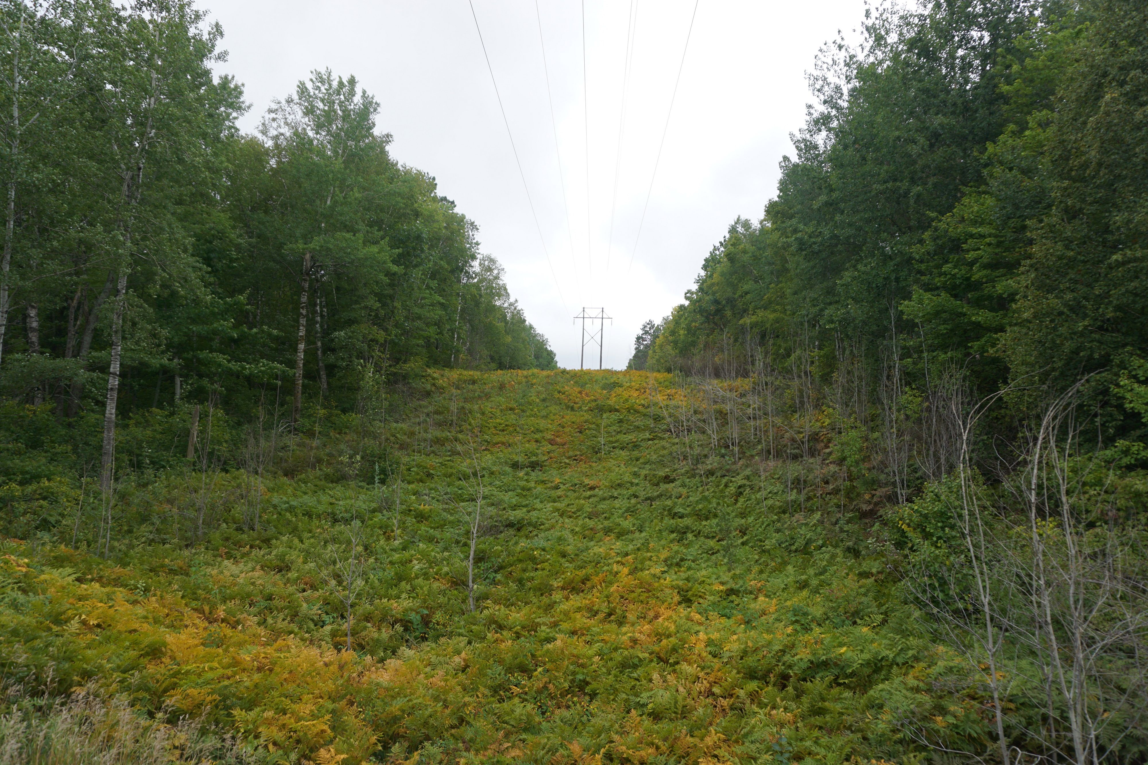 2.48 acres in Carlton County, Minnesota