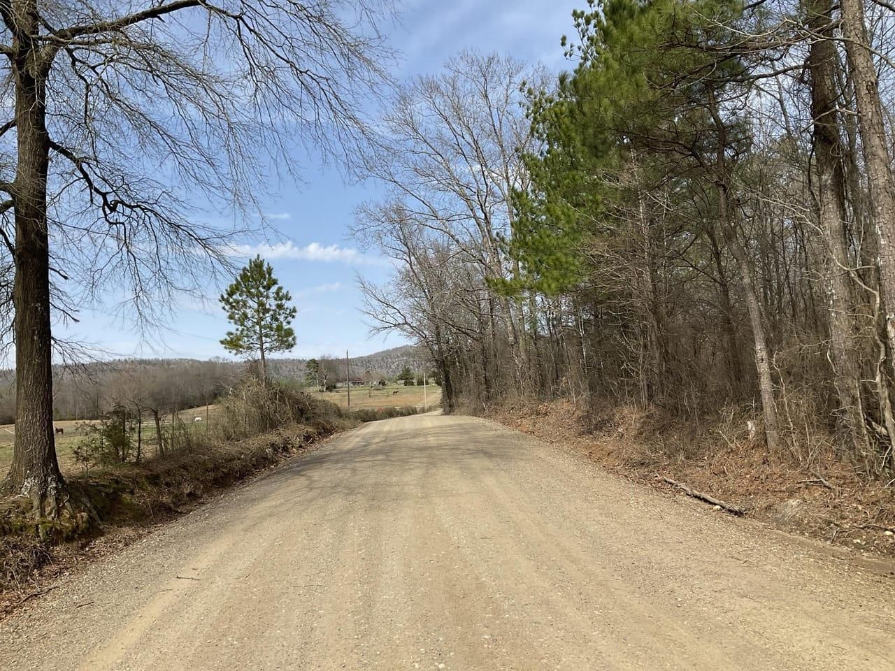 80 acres in Montgomery County, Arkansas