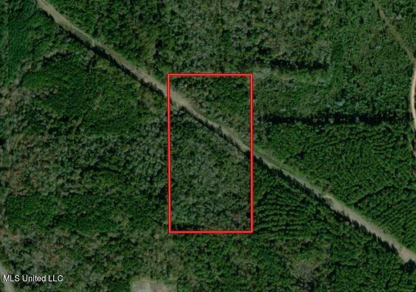 20 acres in Jasper County, Mississippi
