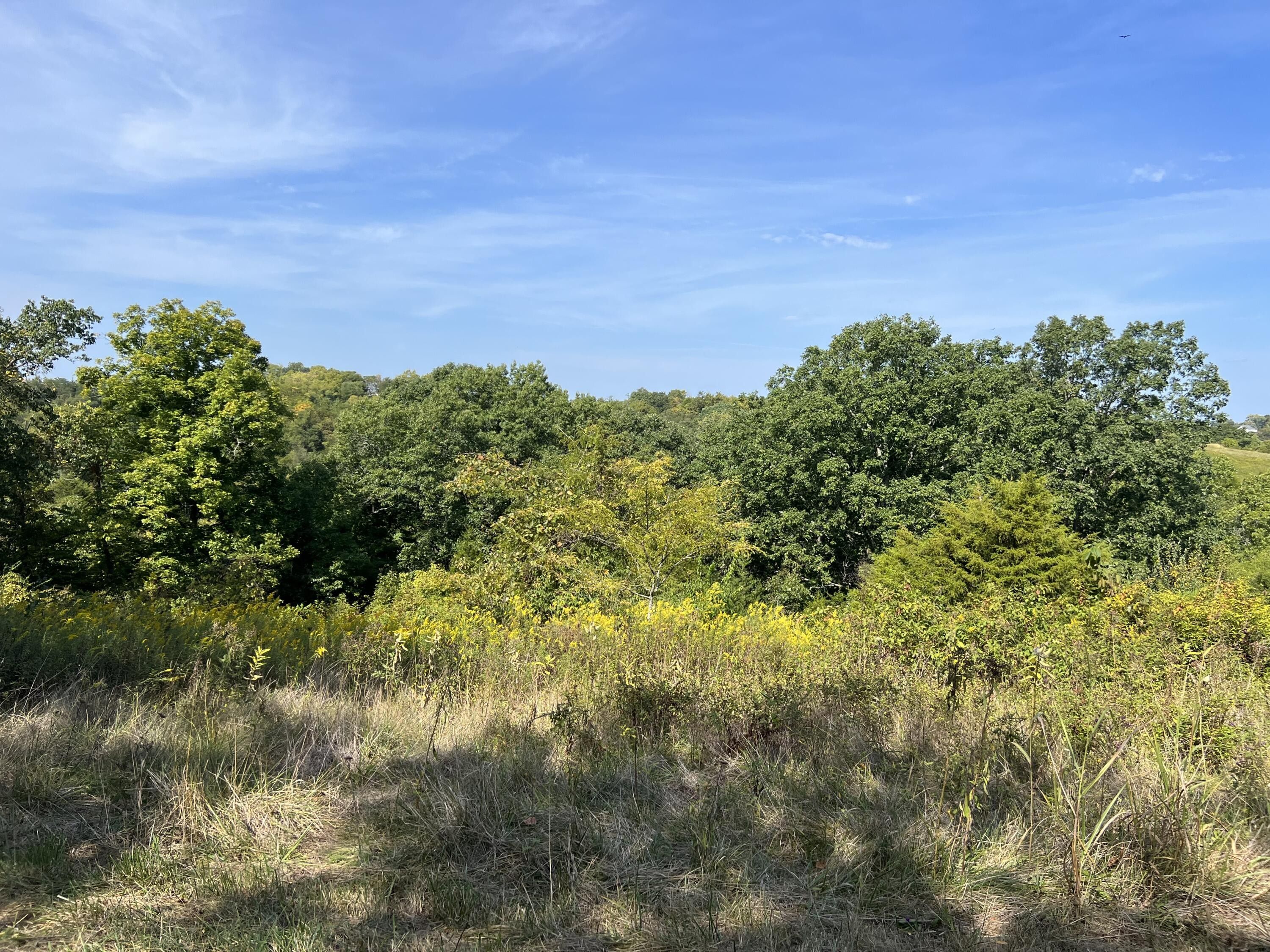 90 acres in Owen County, Kentucky