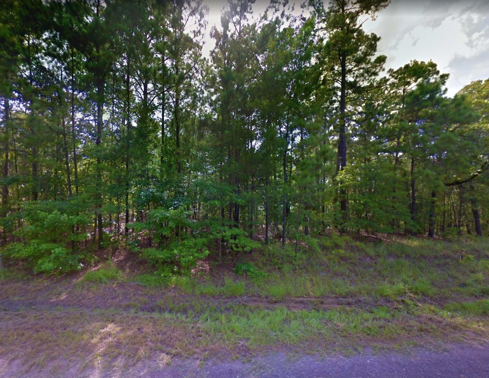 Hillside Drive, Brookeland, TX 75931