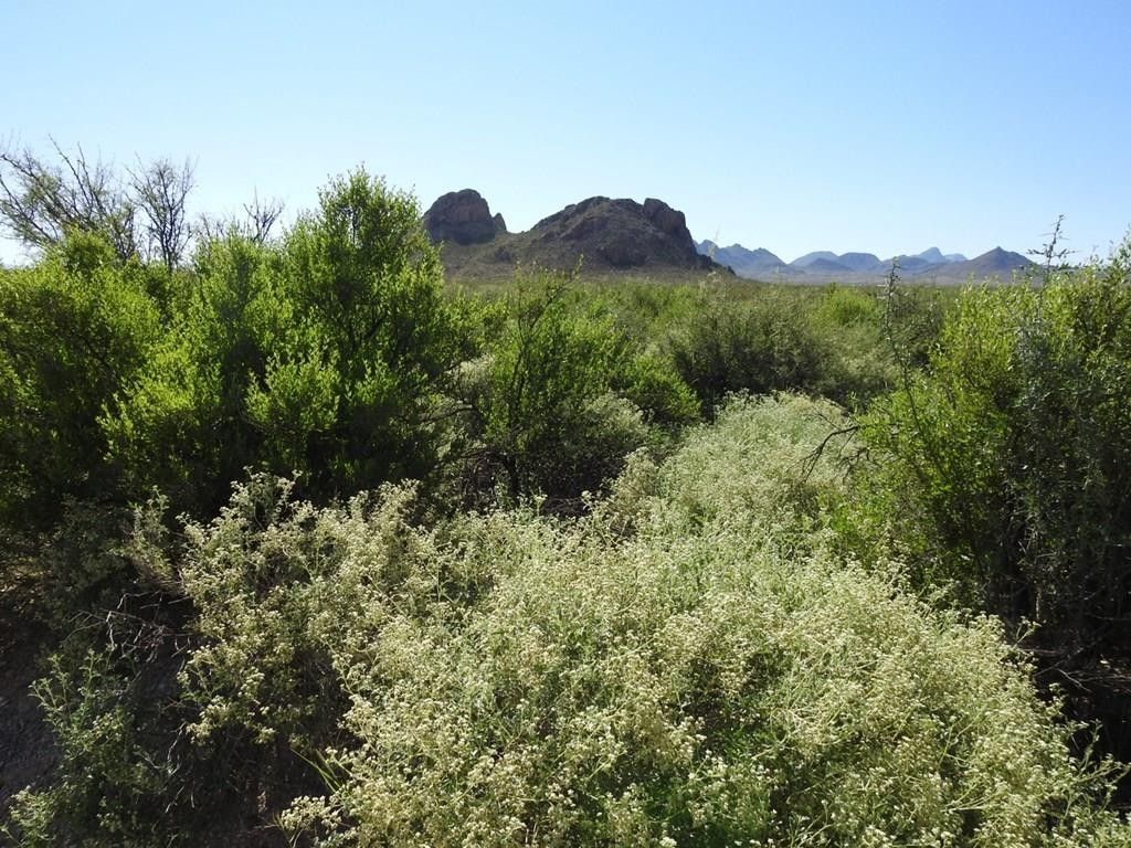 Individual Lot Terlingua, TX