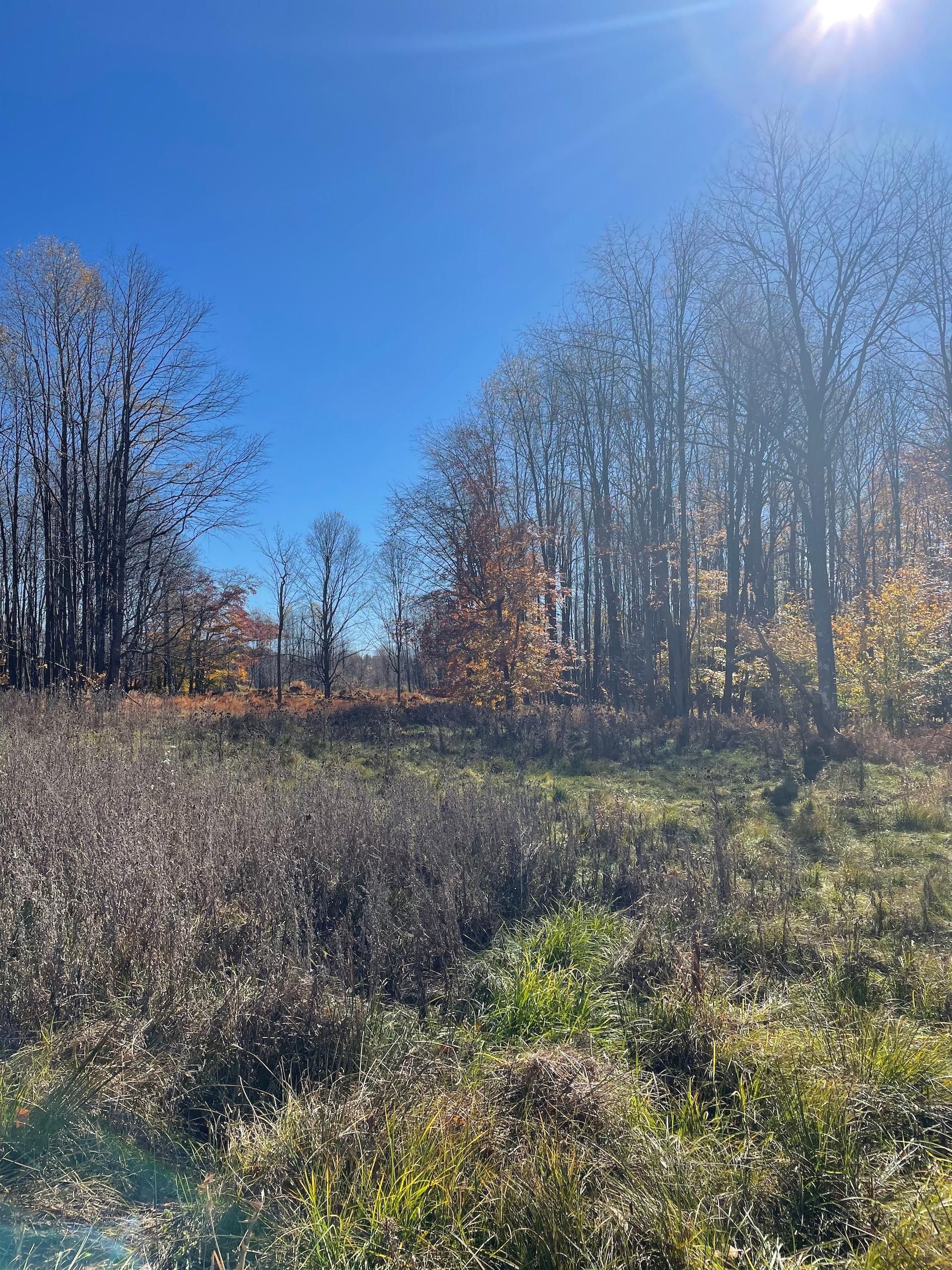 90 acres in Elk County, Pennsylvania