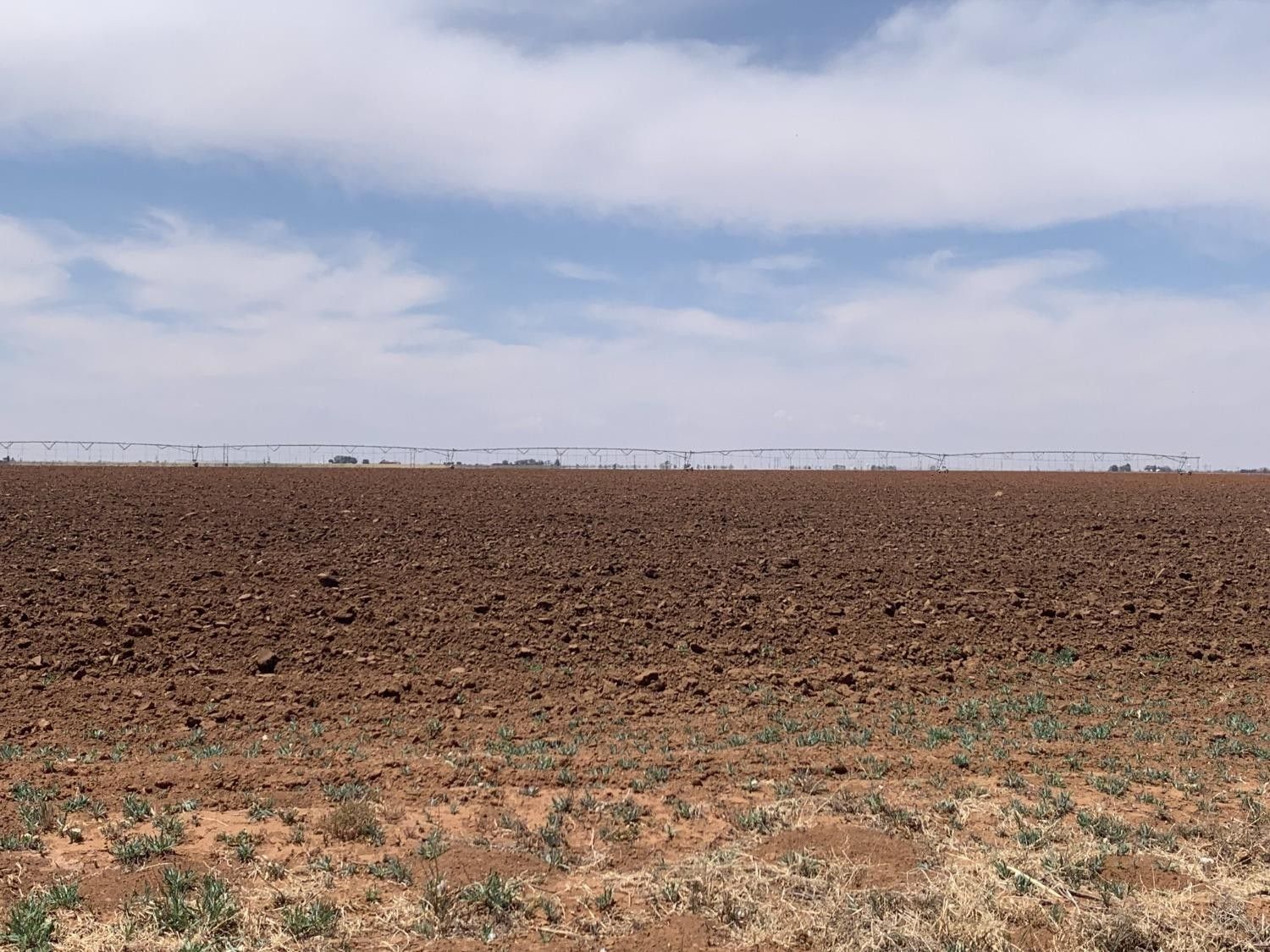 177 acres in Hockley County, Texas