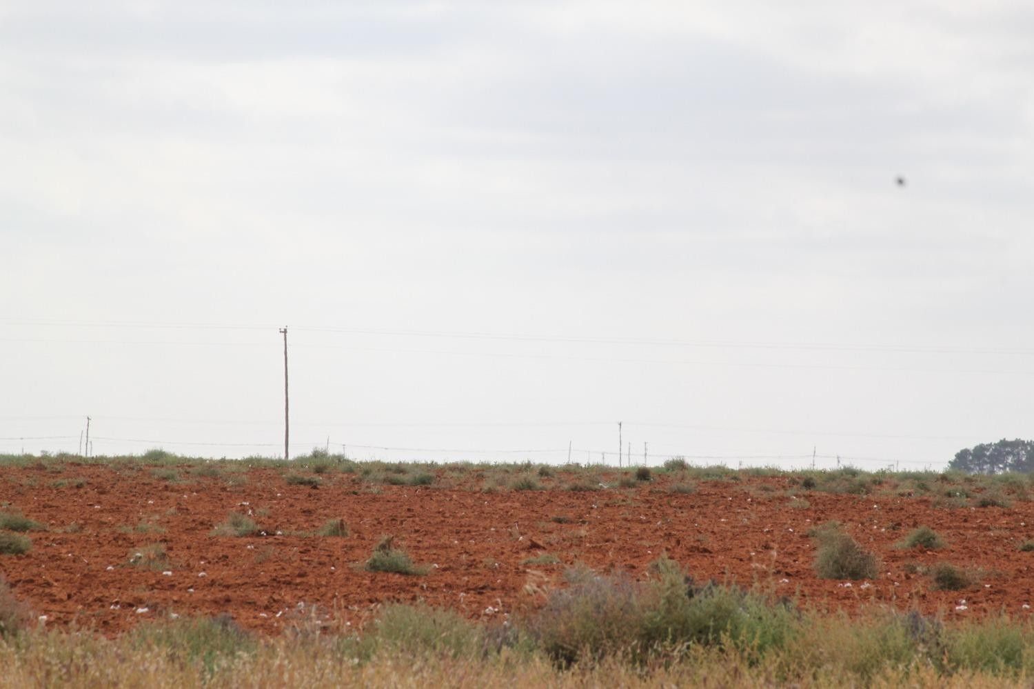 33.33 acres in Hockley County, Texas