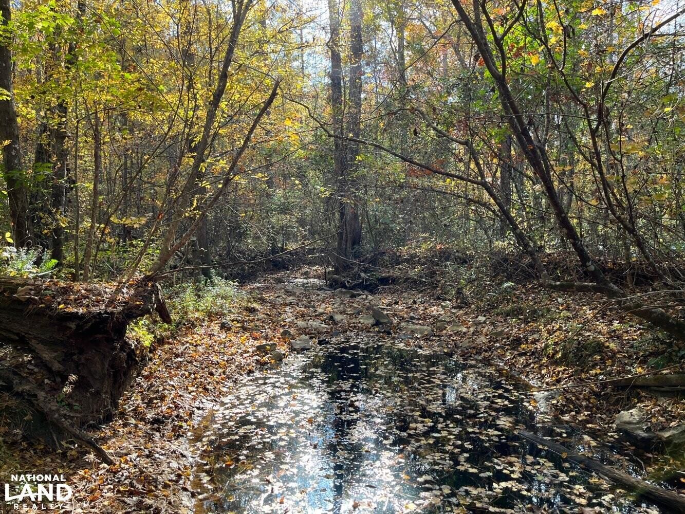 81 acres in Etowah County, Alabama