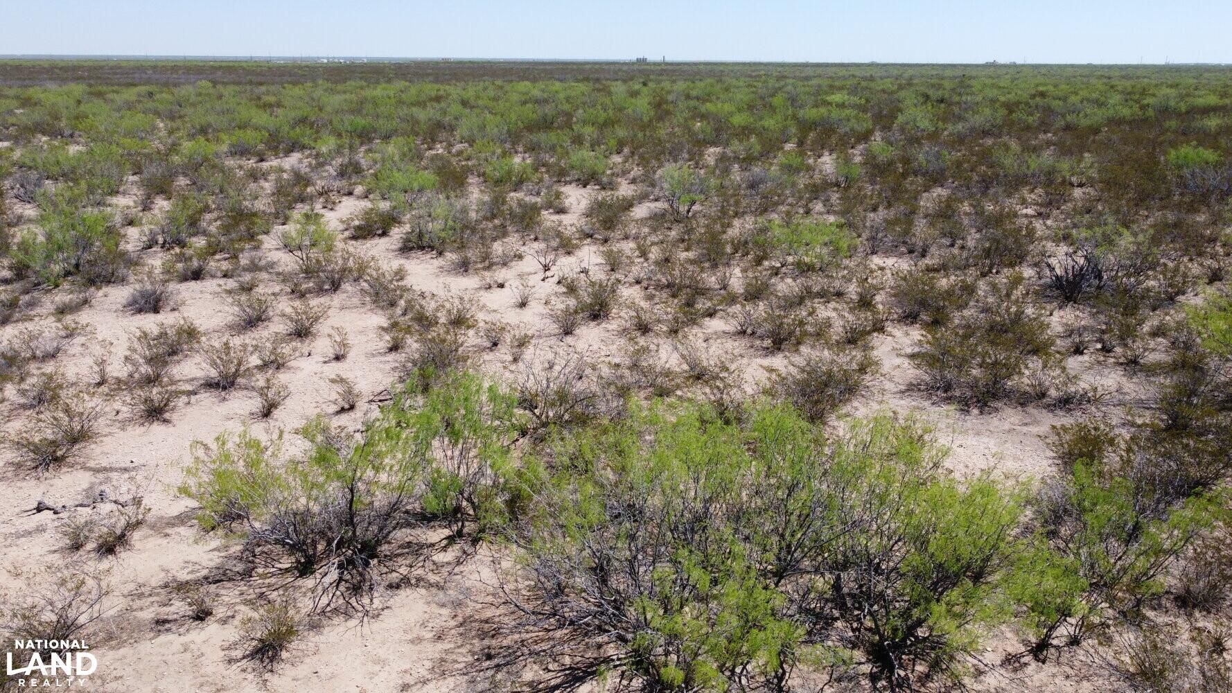 40 acres in Reeves County, Texas