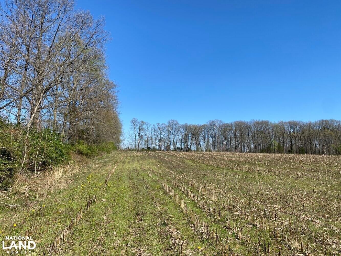 41 acres in Adams County, Ohio
