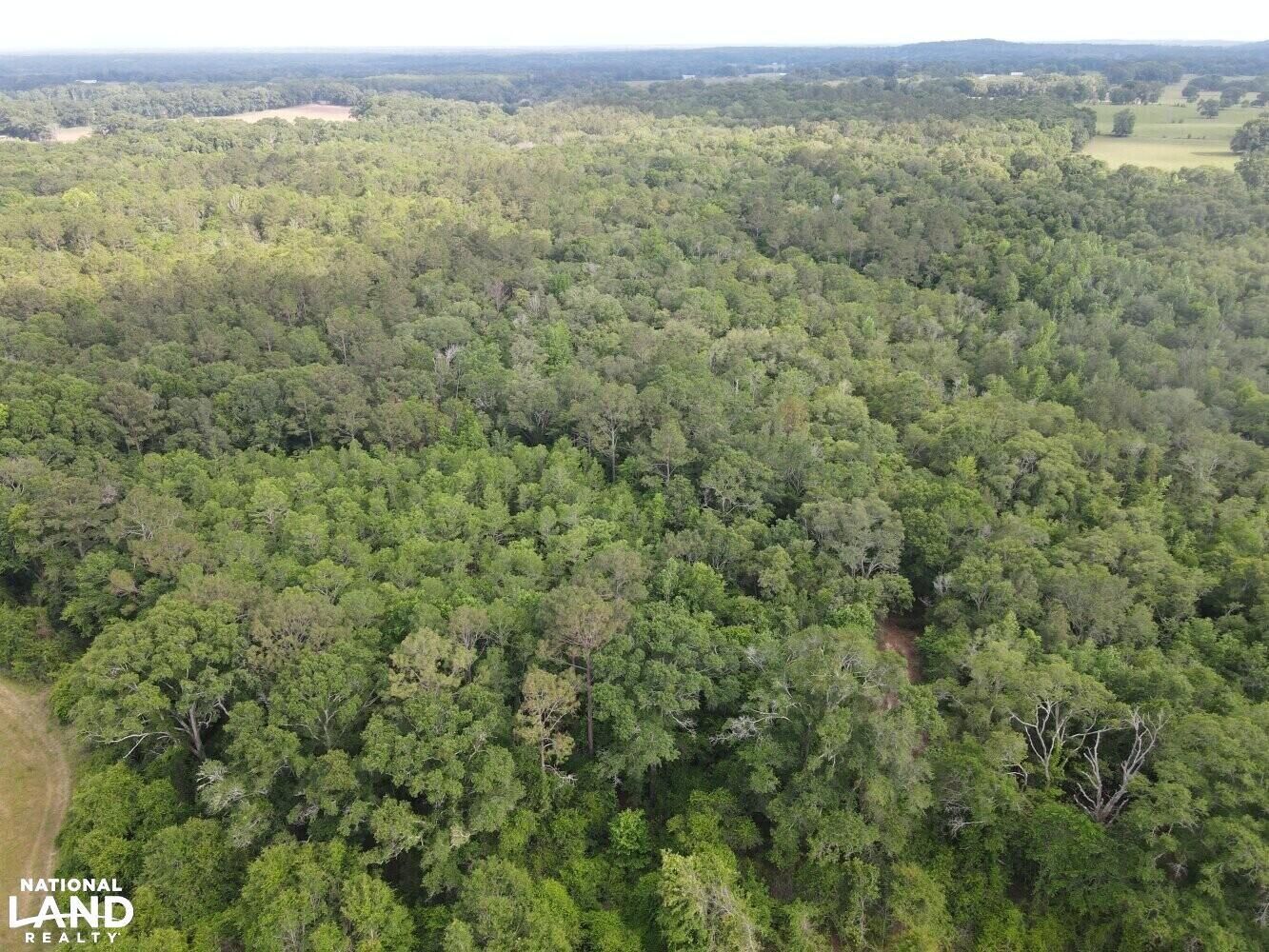 0 Skinner Road, Westville, FL 32464