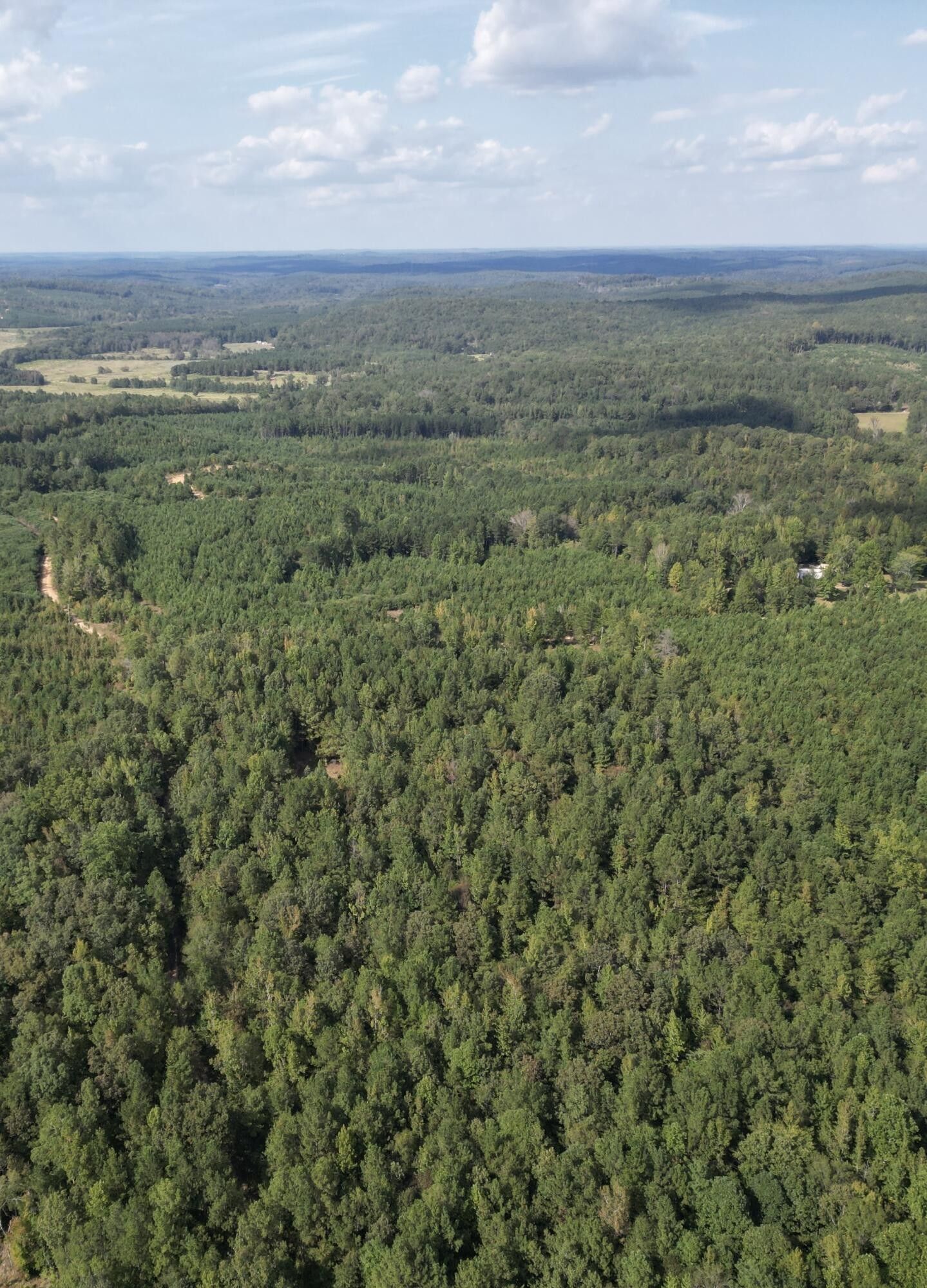 50 acres in Lamar County, Alabama