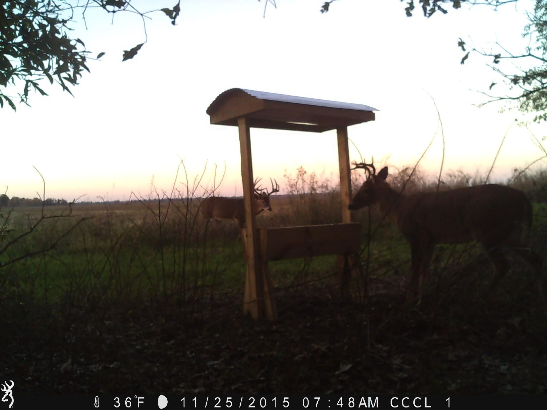 312 acres in Winstonville, MS, 38781