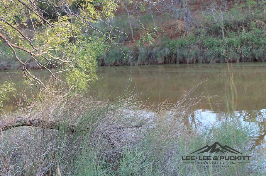 177.38 acres in Runnels County, Texas