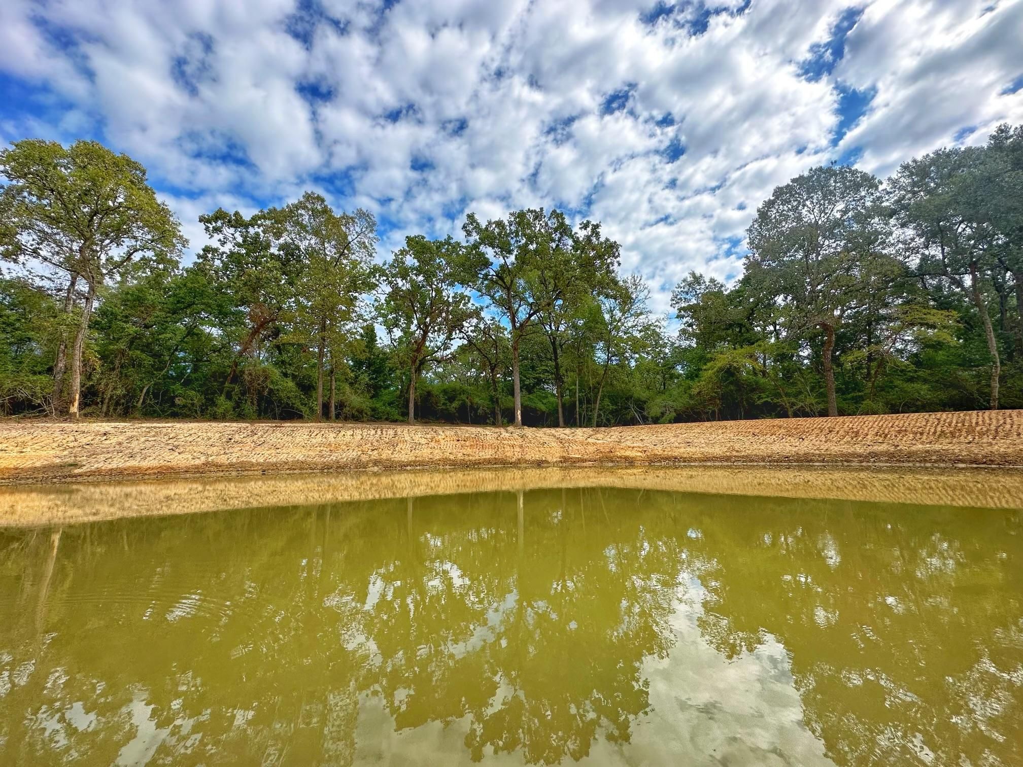 11 acres in Leon County, Texas