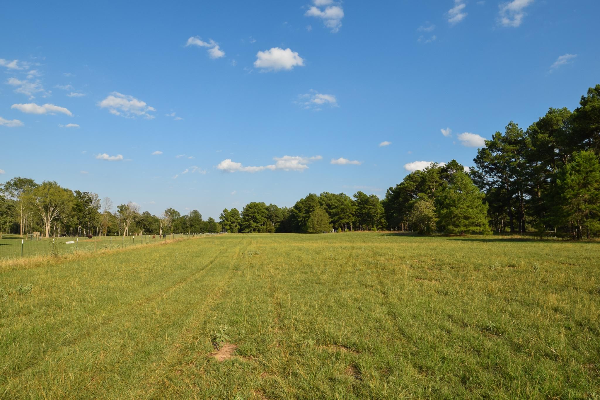 An County Road 1812, Elkhart, TX 75839 | Land.com