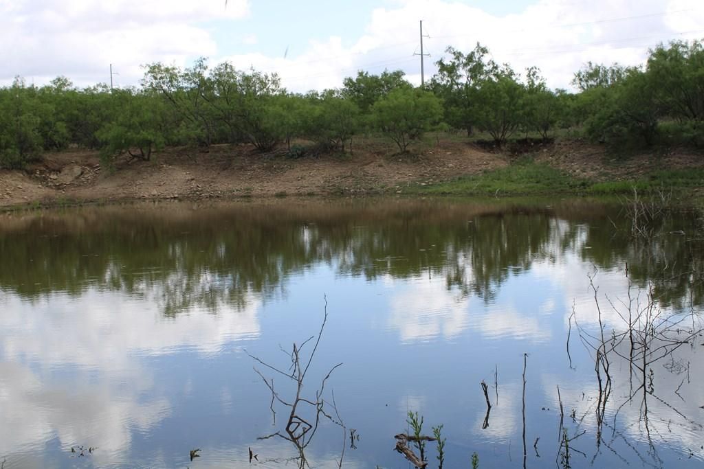 FM 2134, Voss, TX 76888 MLS 116580