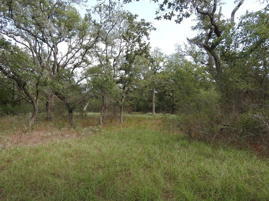 Acreage,Land Ezzell, TX