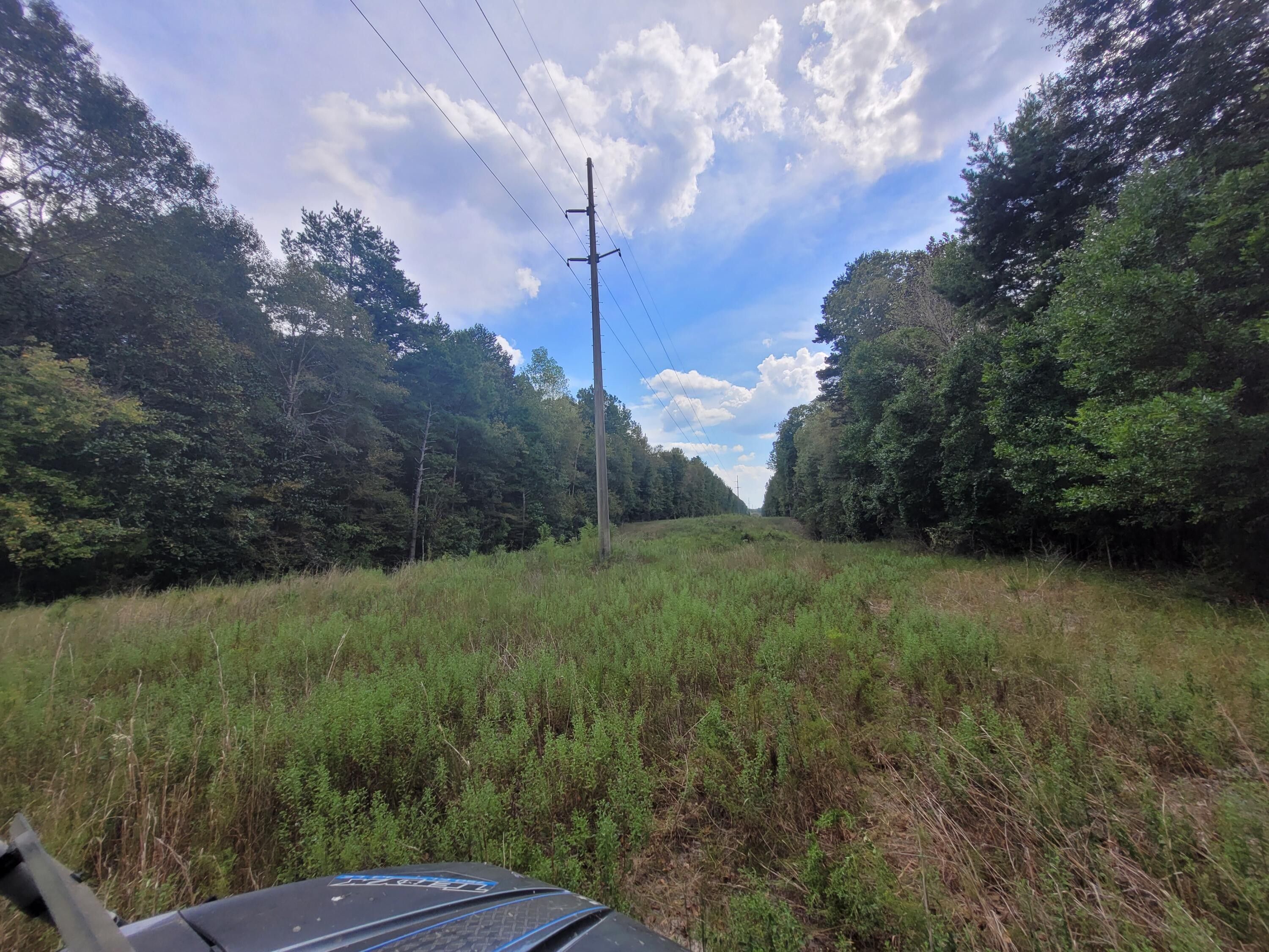 40 acres in Greene County, Mississippi