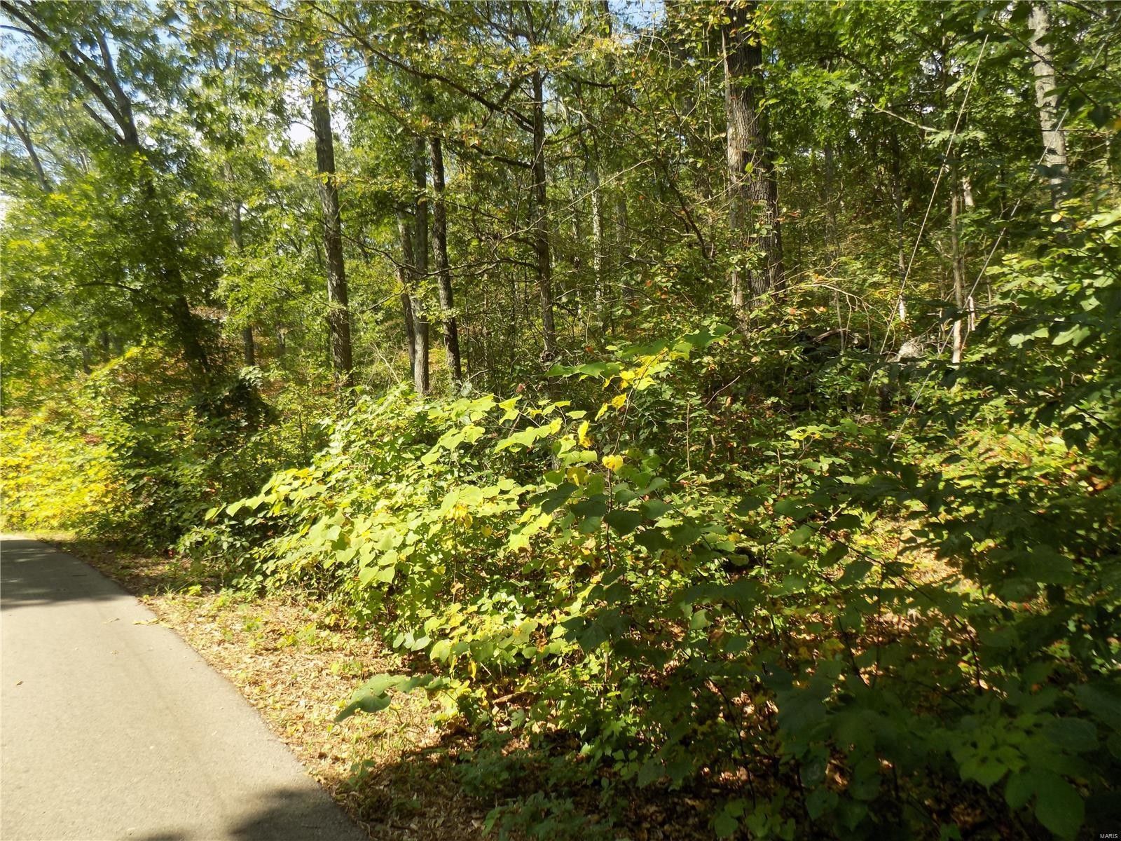 3.4 acres in Iron County, Missouri