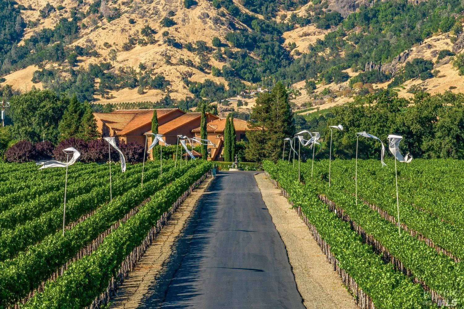 5 Spectacular Napa Valley and Bay Area Estates Offering Unparalleled