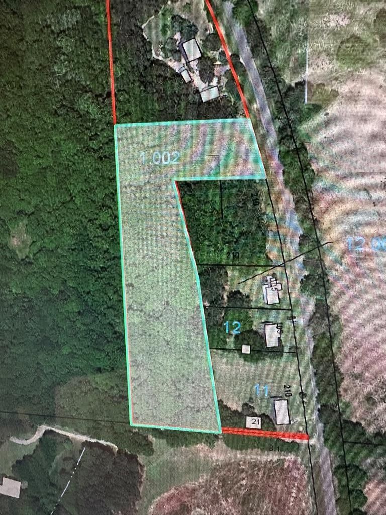 3 acres in Pike County, Alabama
