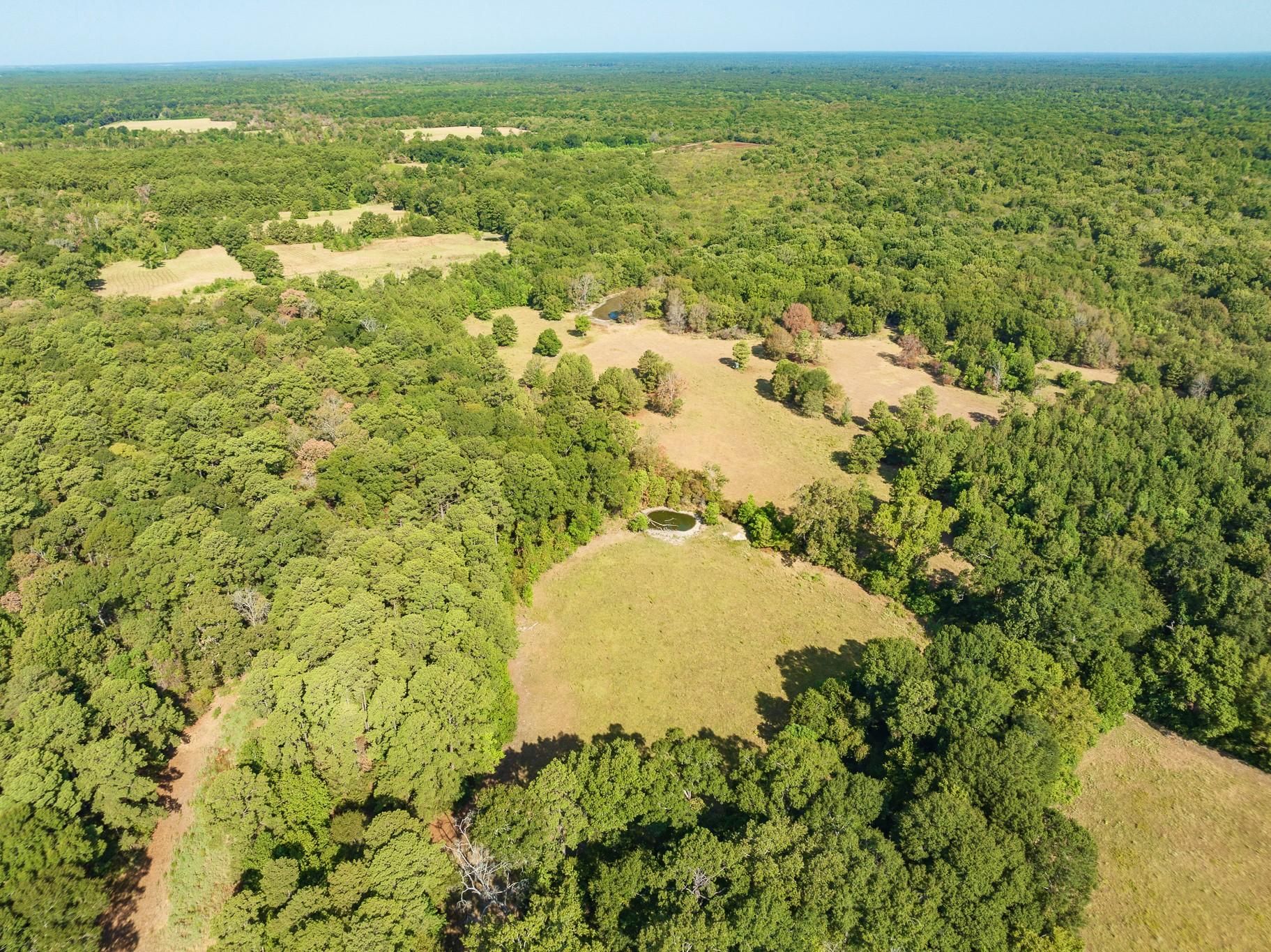 221 acres in Polk County, Texas