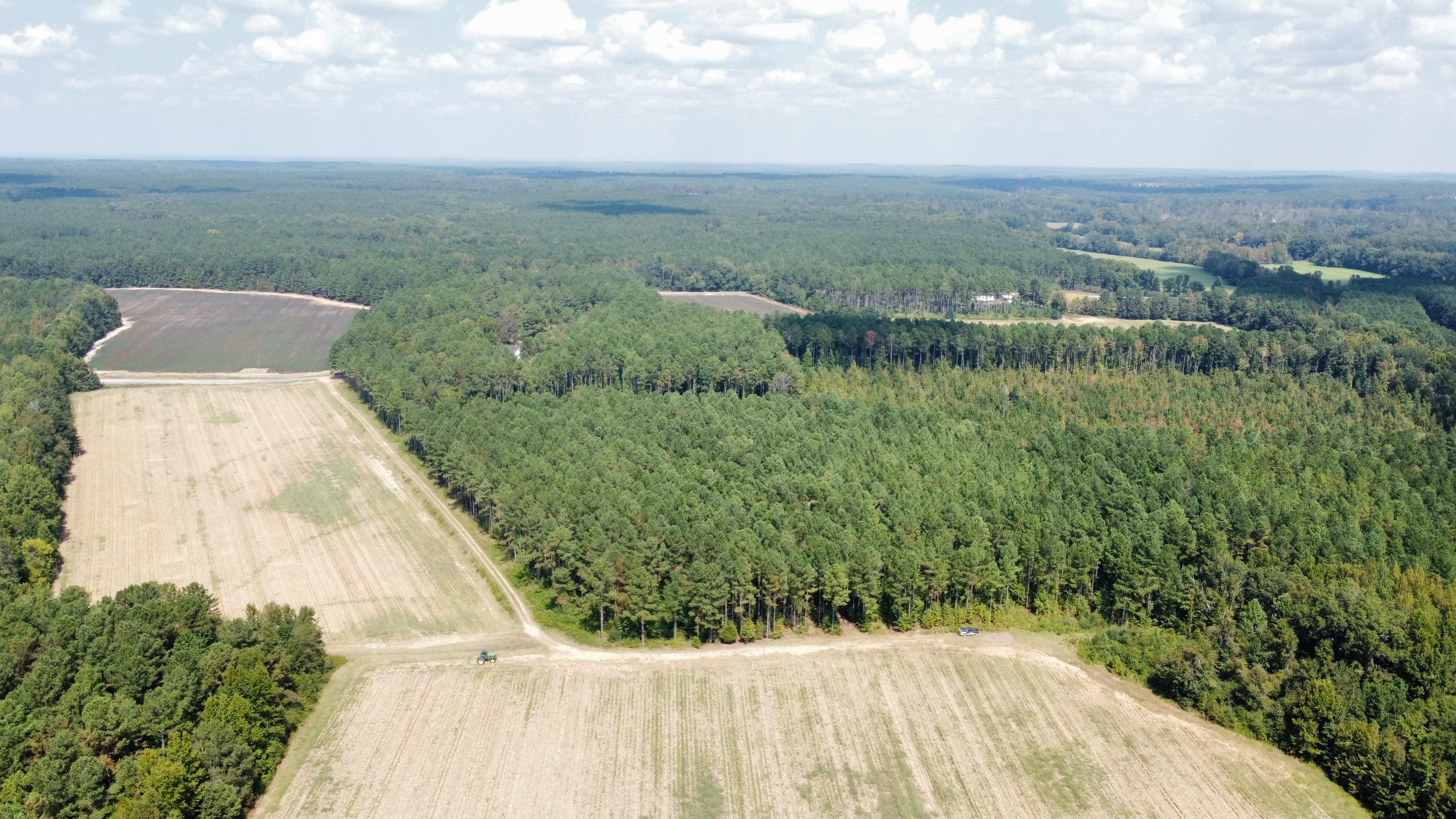 64 acres in Webster County, Mississippi