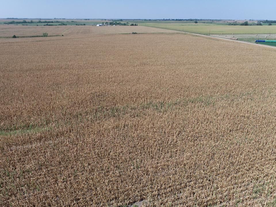 160 acres in Gage County, Nebraska
