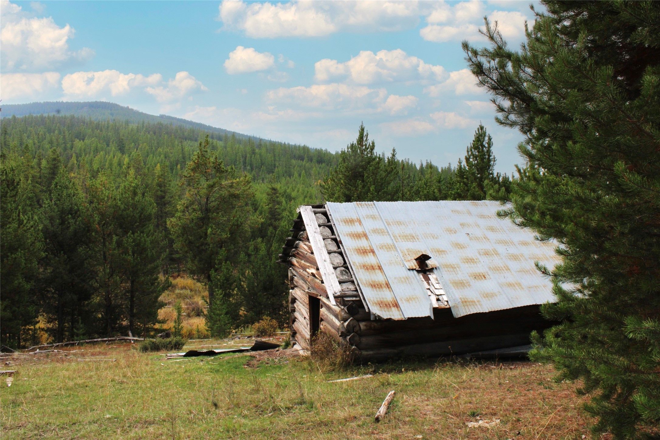 156 acres in Sanders County, Montana