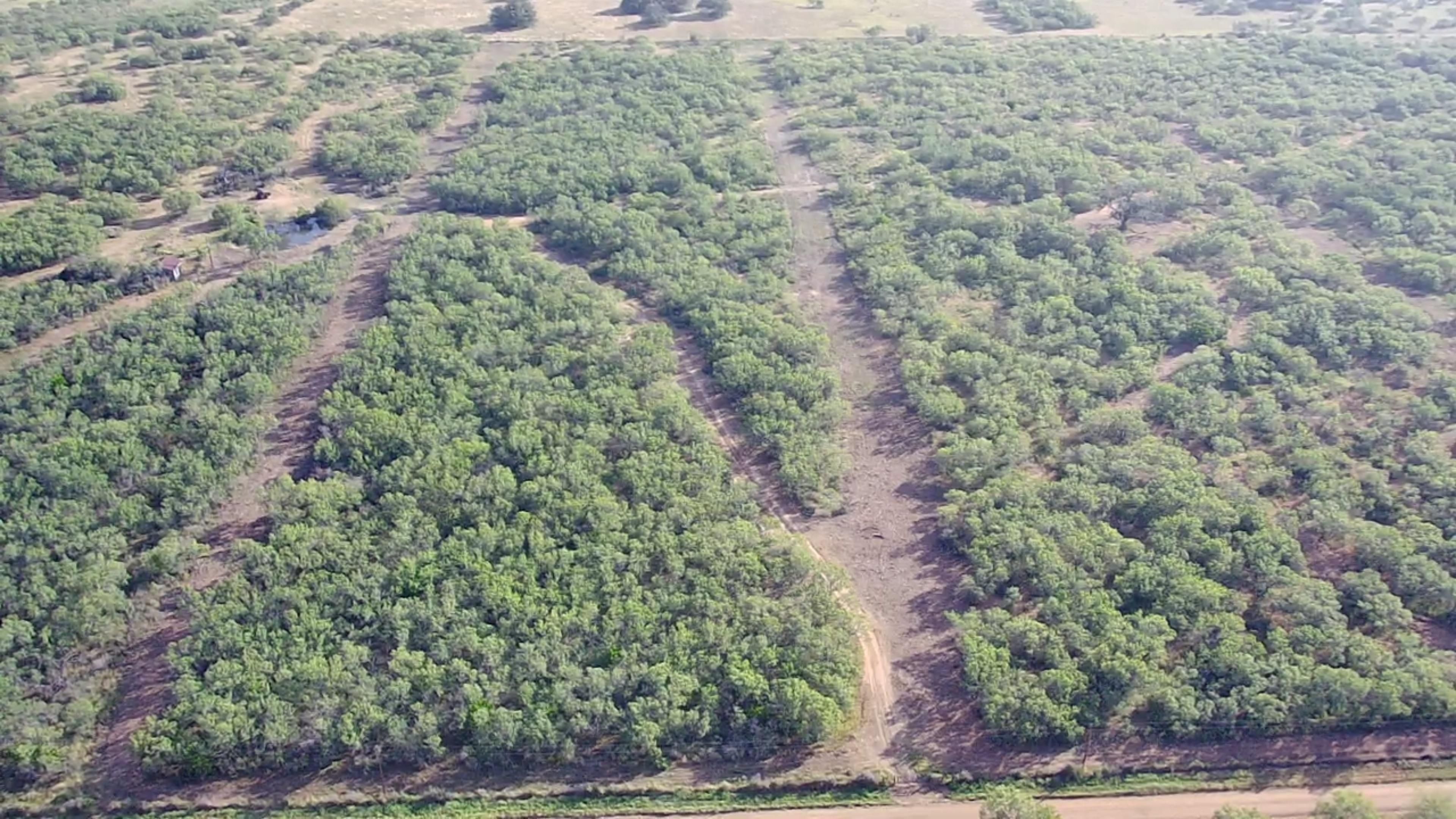 13.2 acres in Jourdanton, TX, 78026 MLS 1717223