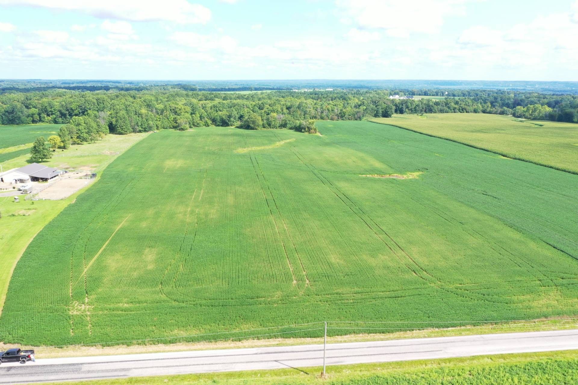 38.4 acres in Wayne County, Ohio