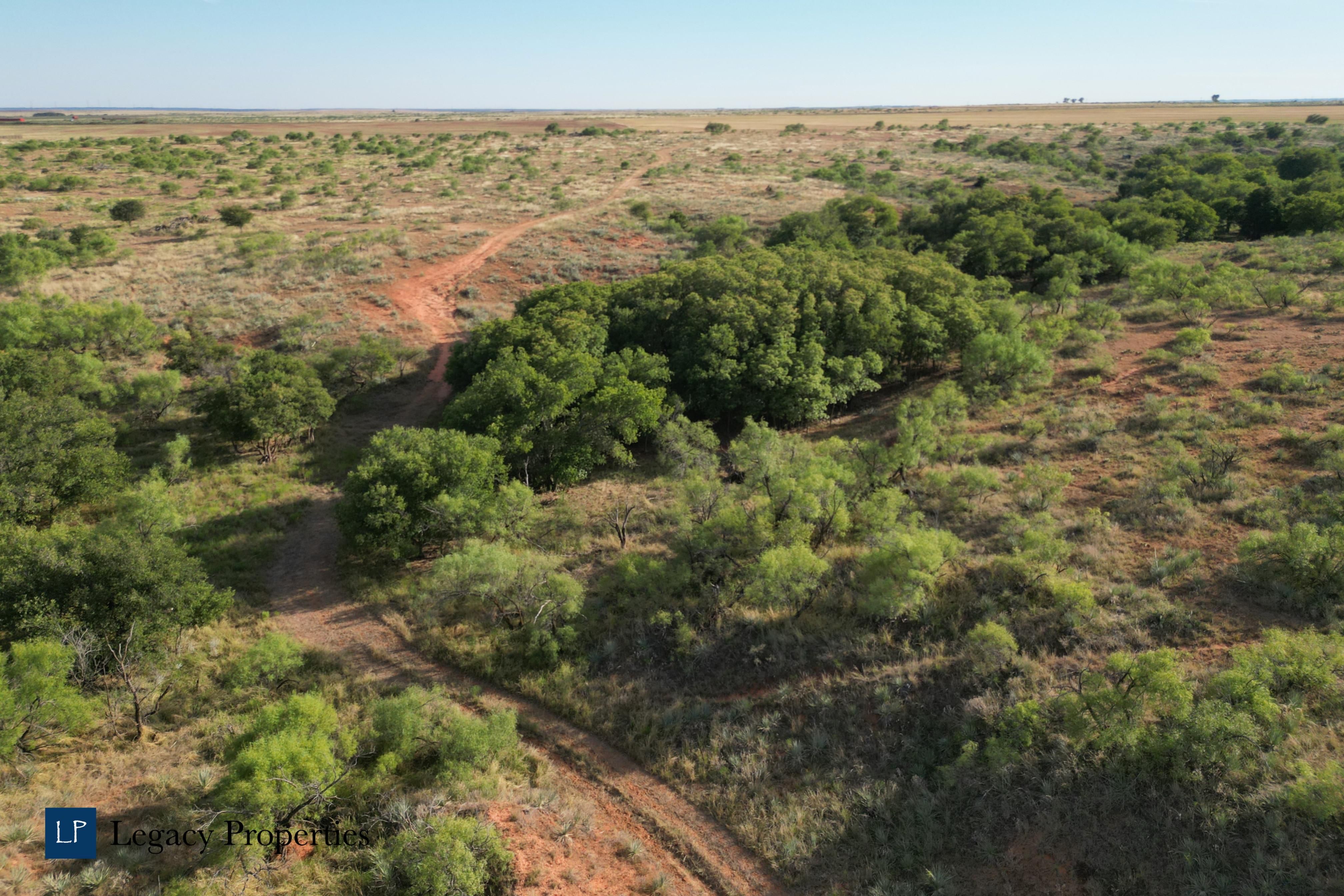 County Road 206, Paducah, TX 79248