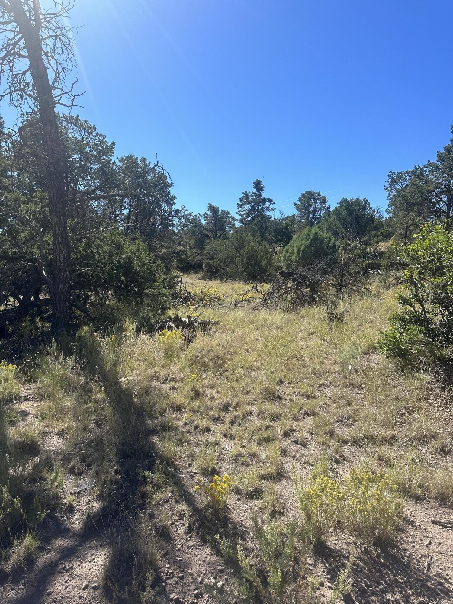 1.41 acres in Catron County, New Mexico