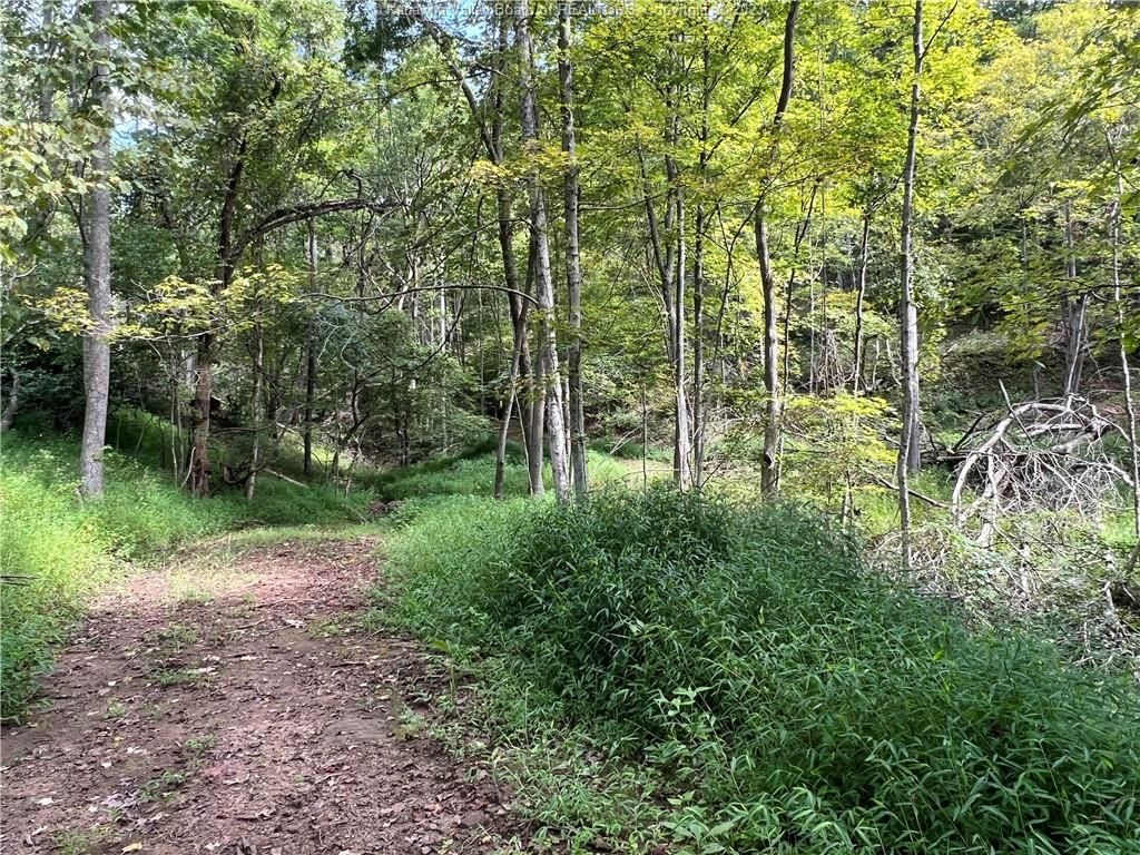 50.5 acres in Wirt County, West Virginia