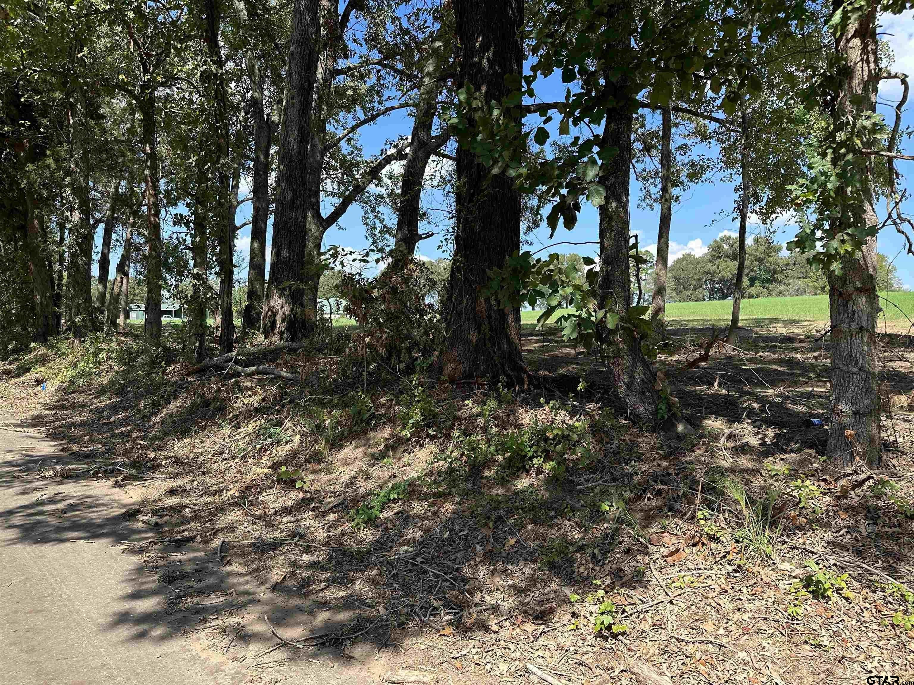 3 acres in Rusk County, Texas