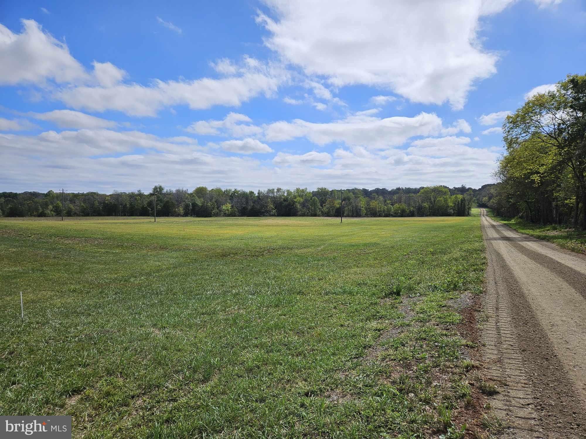 10 acres in Culpeper County, Virginia