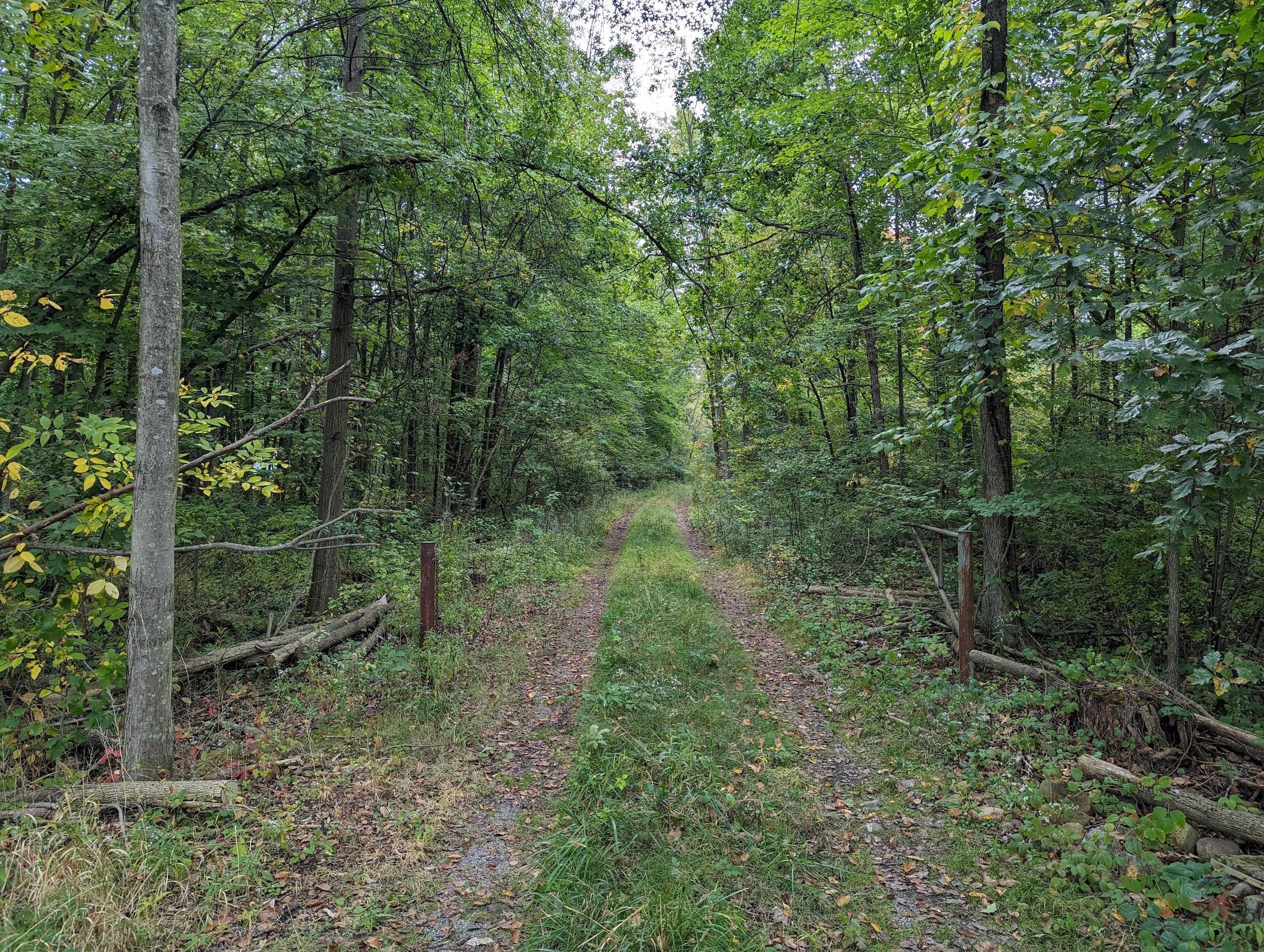 32 acres in Mahoning County, Ohio