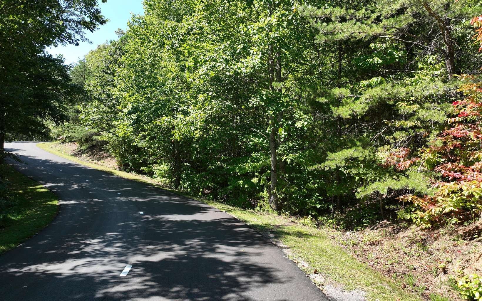 10.04 acres in Pickens County,