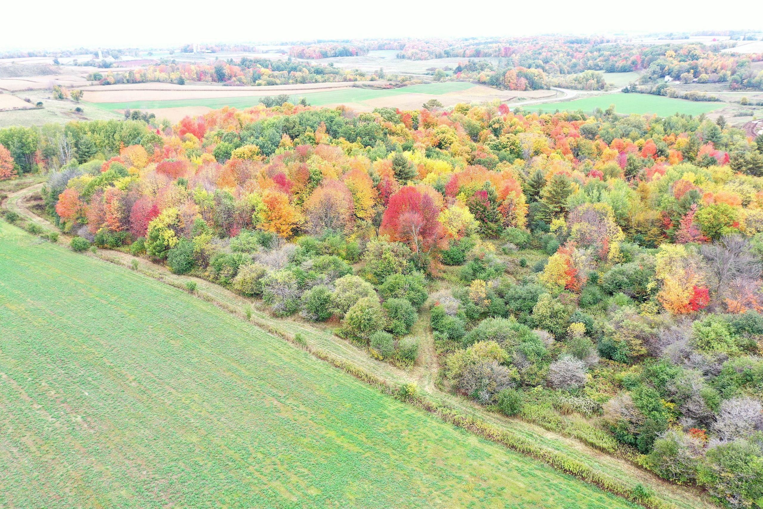 30 acres in Barron County, Wisconsin