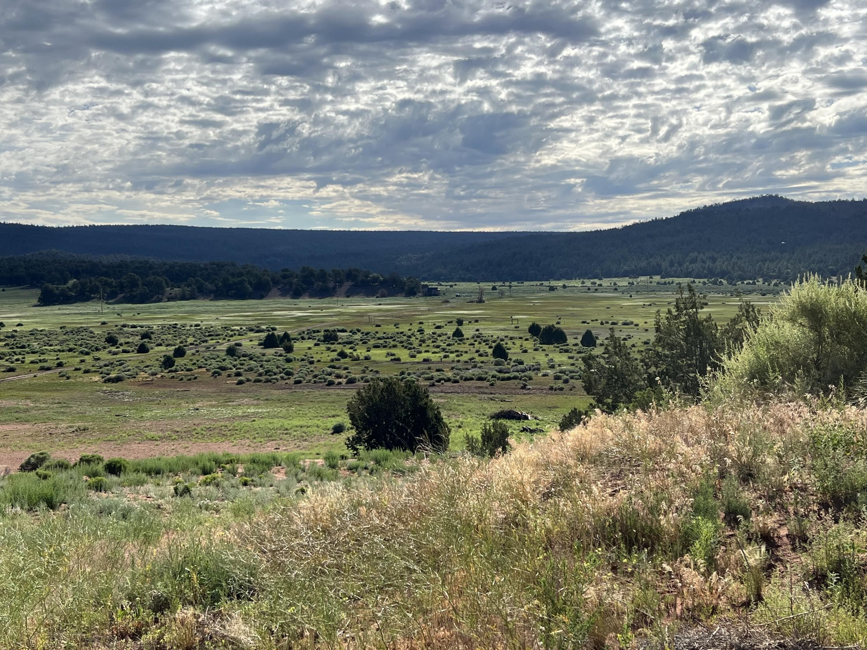 20 acres in McKinley County, New Mexico