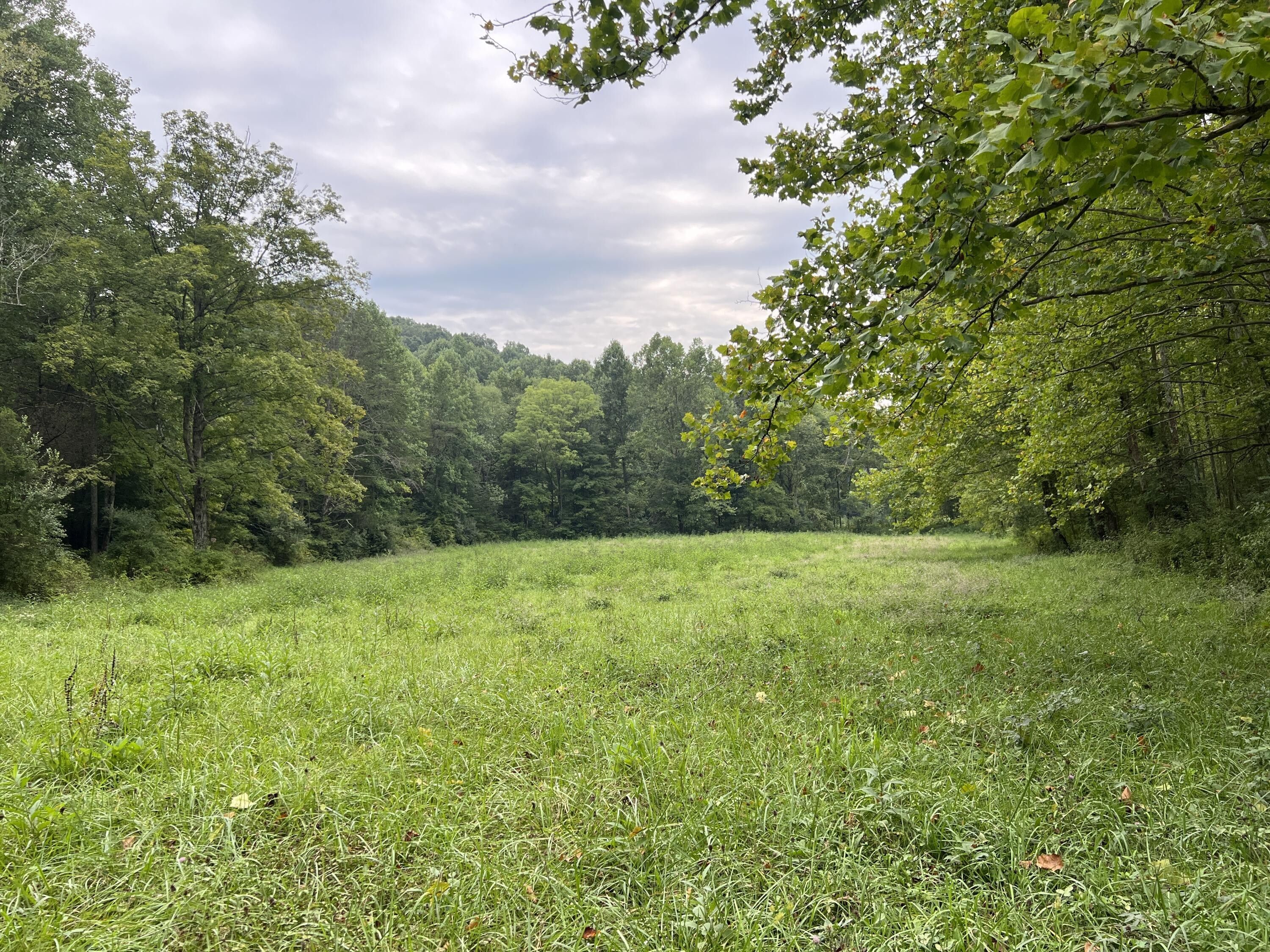50 acres in Rockcastle County, Kentucky
