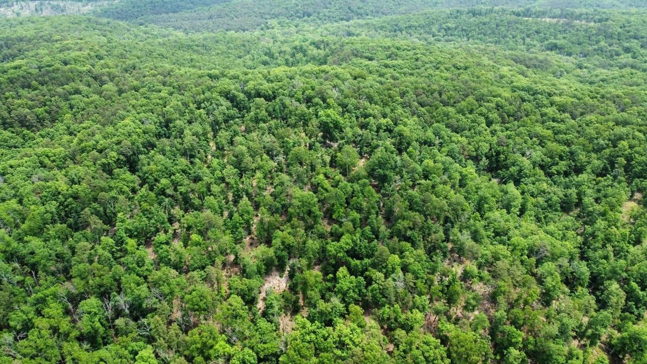 20 acres in Carter County, Missouri