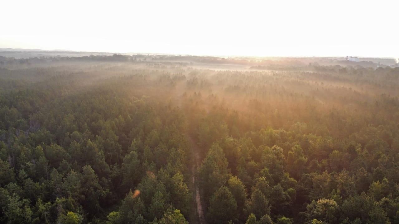 860 acres in Sumter County, Alabama