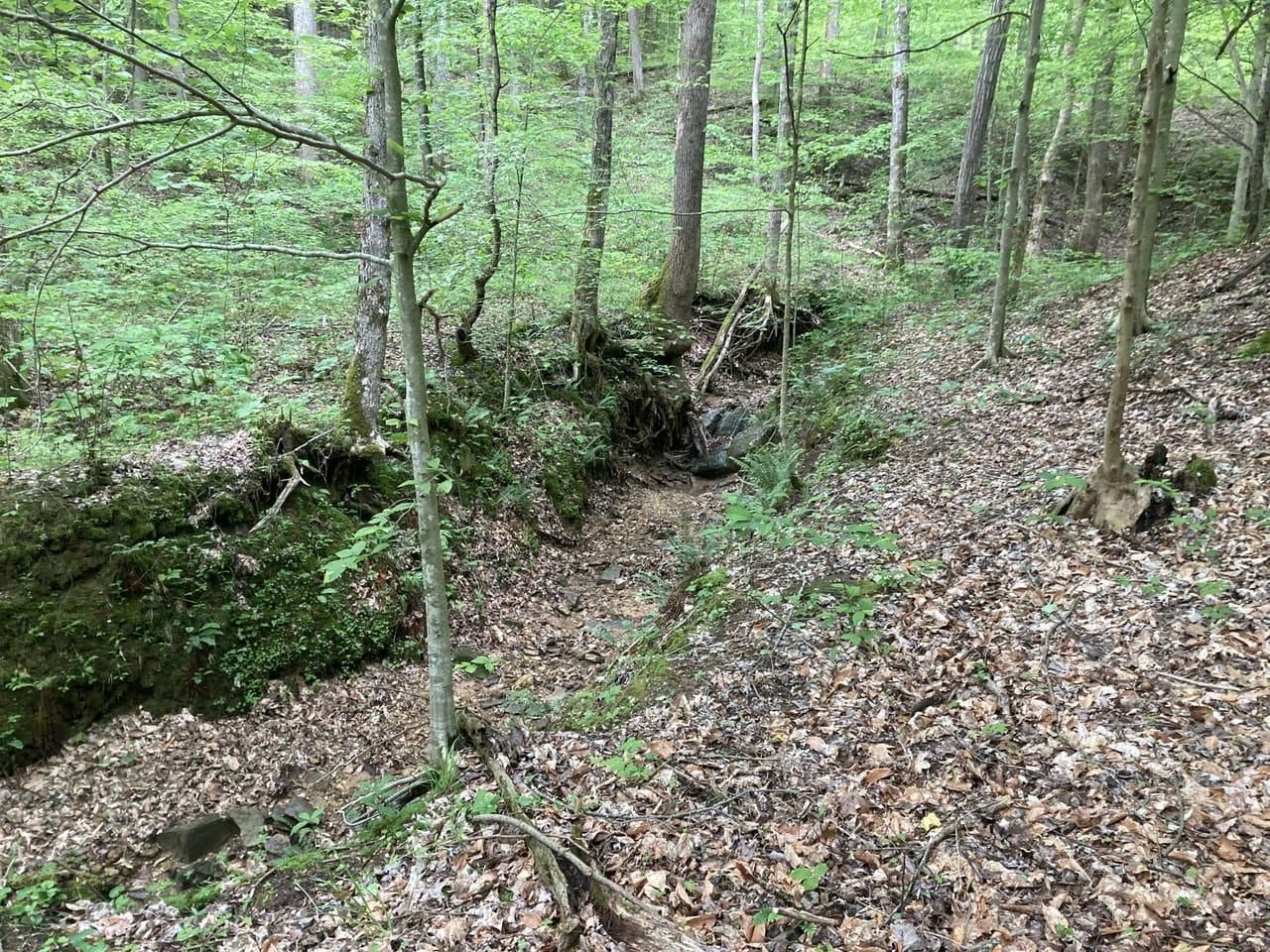 powder mill KY 569, Canmer, KY 42722